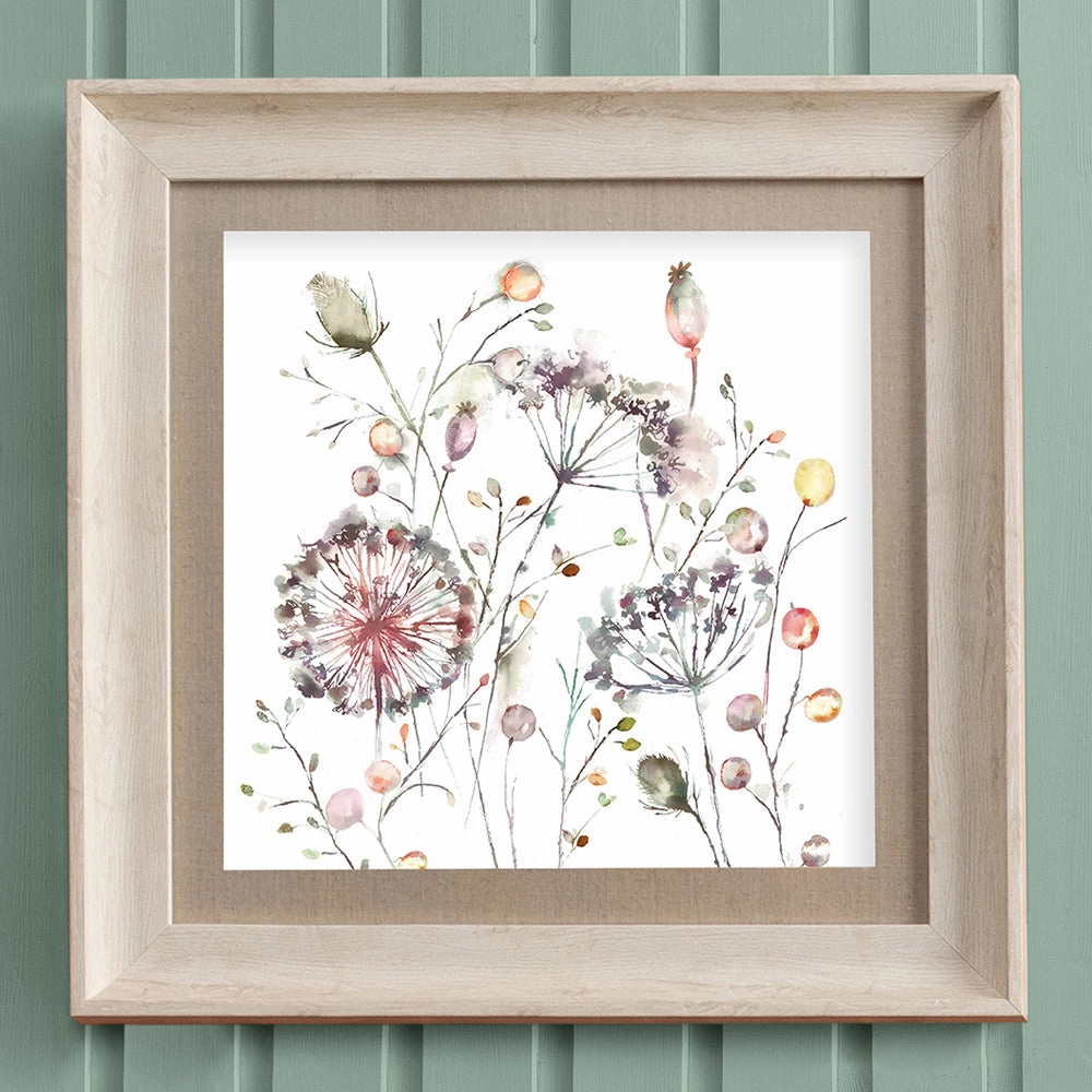 Boronia Framed Print Birch