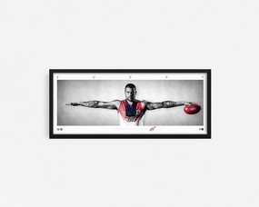 BUDDY FRANKLIN MINI WINGShandmade souvenirs