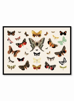 Butterflies In Flight, Posterpop culture themed posters