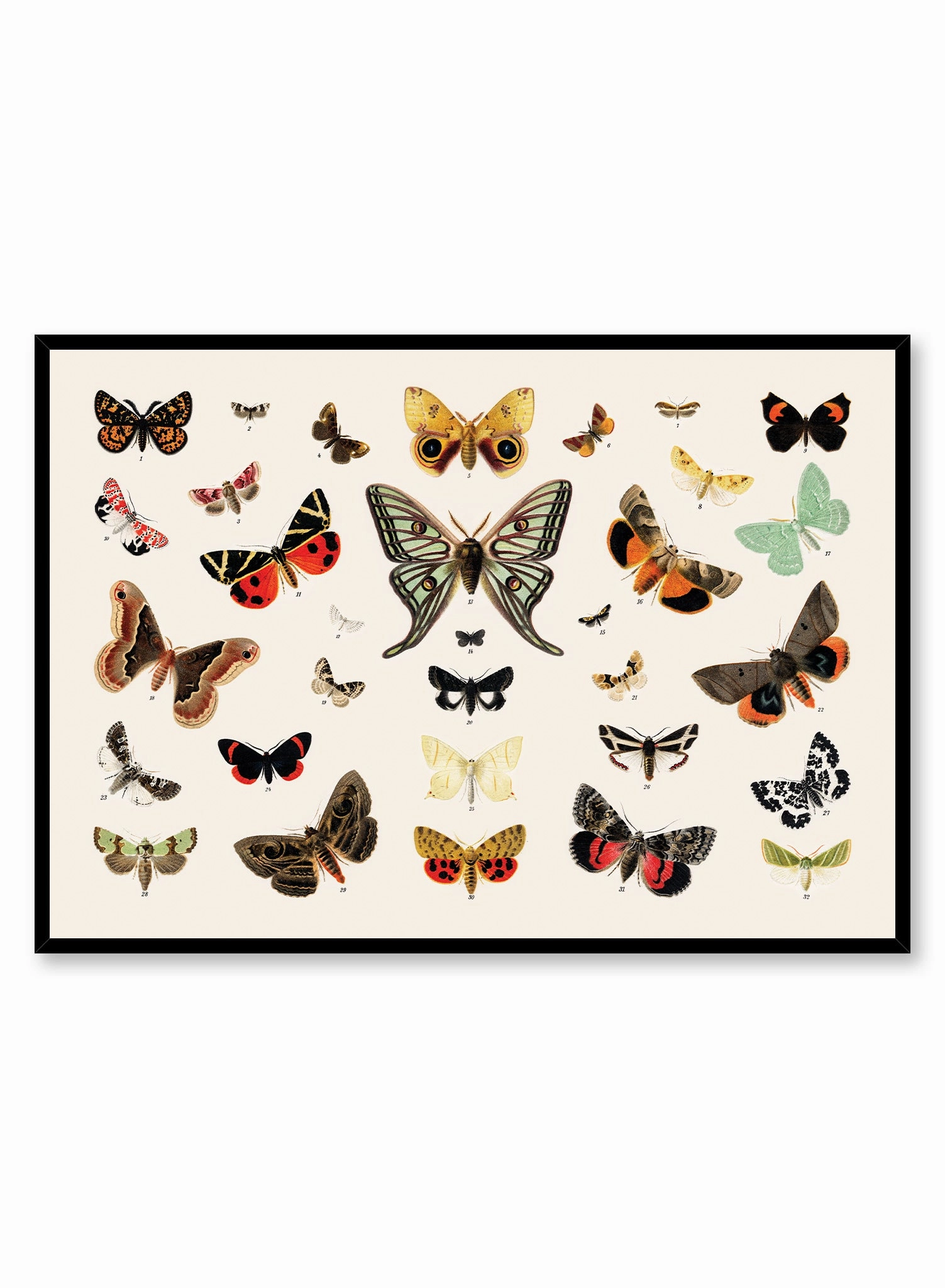 Butterflies In Flight, Posterpop culture themed posters