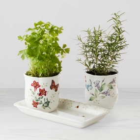 Butterfly Meadow 3-Piece Herb Pots & Tray Seteaster decorations ,easter centerpiece 