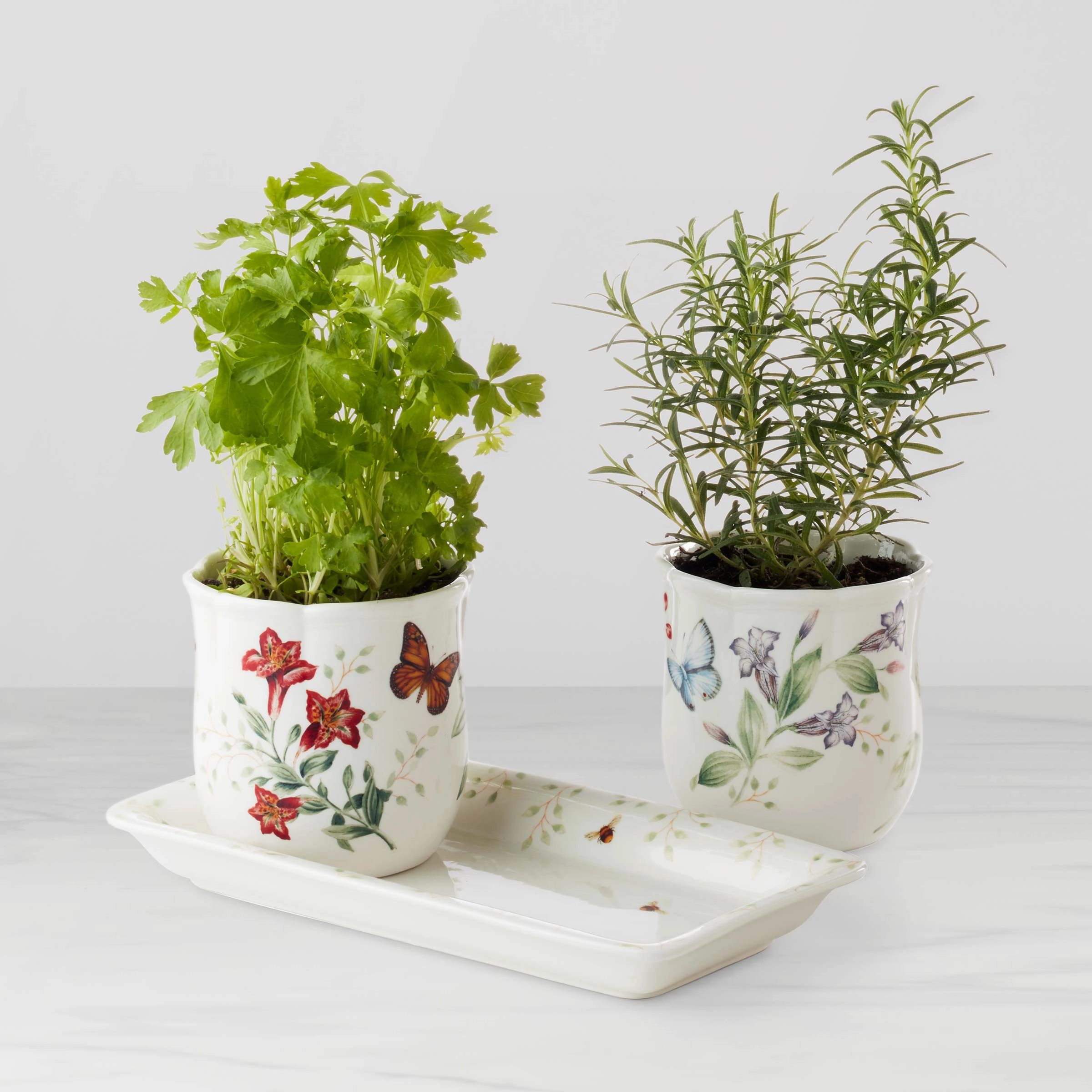 Butterfly Meadow 3-Piece Herb Pots & Tray Seteaster decorations ,easter centerpiece 