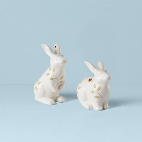 Butterfly Meadow Bunny Salt & Peppereaster decorations ,easter centerpiece 