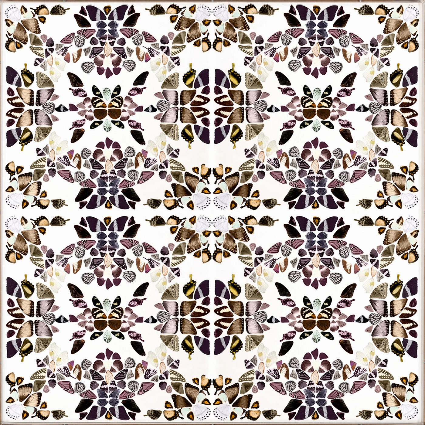 Butterfly Patterns 2nordic style wall decor