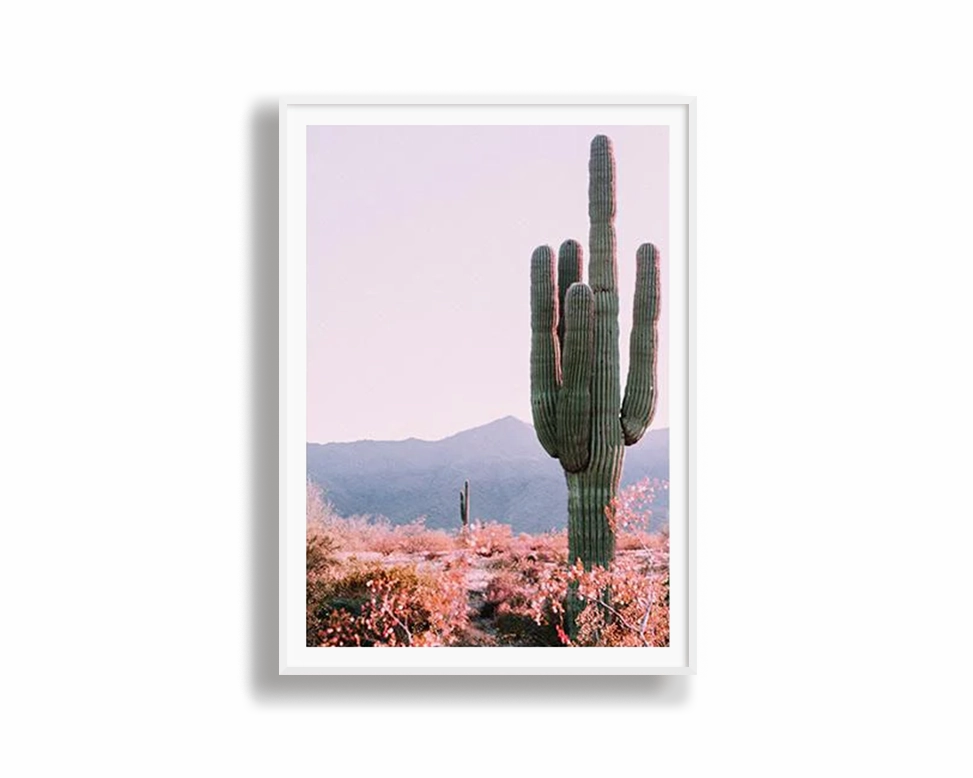 Cactus