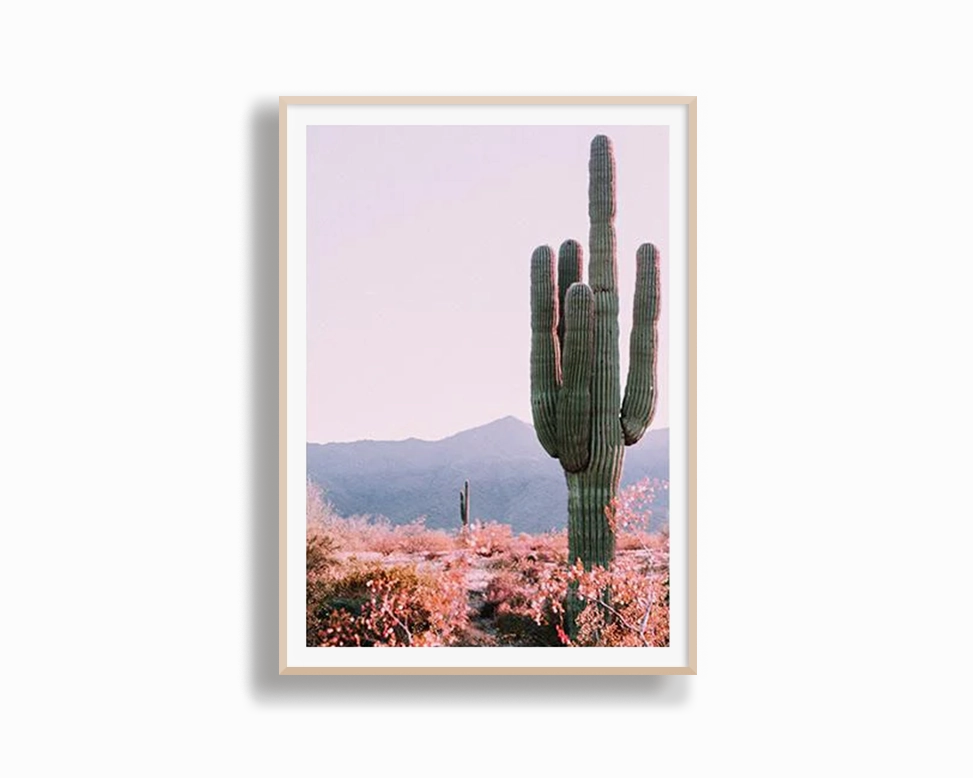 Cactus