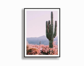 Cactusnordic style wall decor