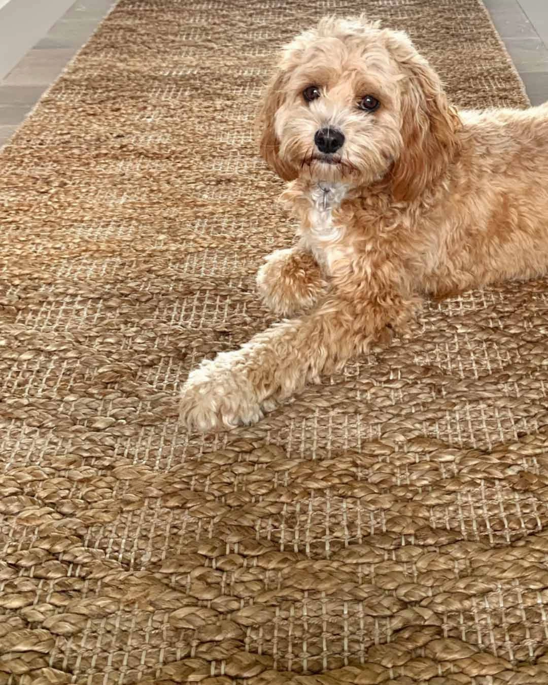 Callie Tribal Natural Diamond Jute Runner Rug *NO RETURNS UNLESS FAULTY