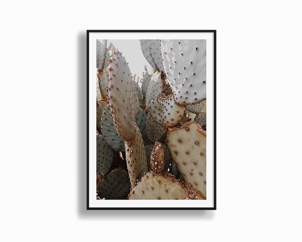 Casa Grandenordic style wall decor