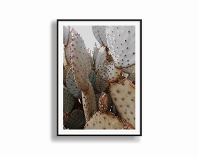 Casa Grandenordic style wall decor