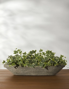 Cast Stone Tabletop Planters by Campania Internationaloutdoor wrought iron plant stand