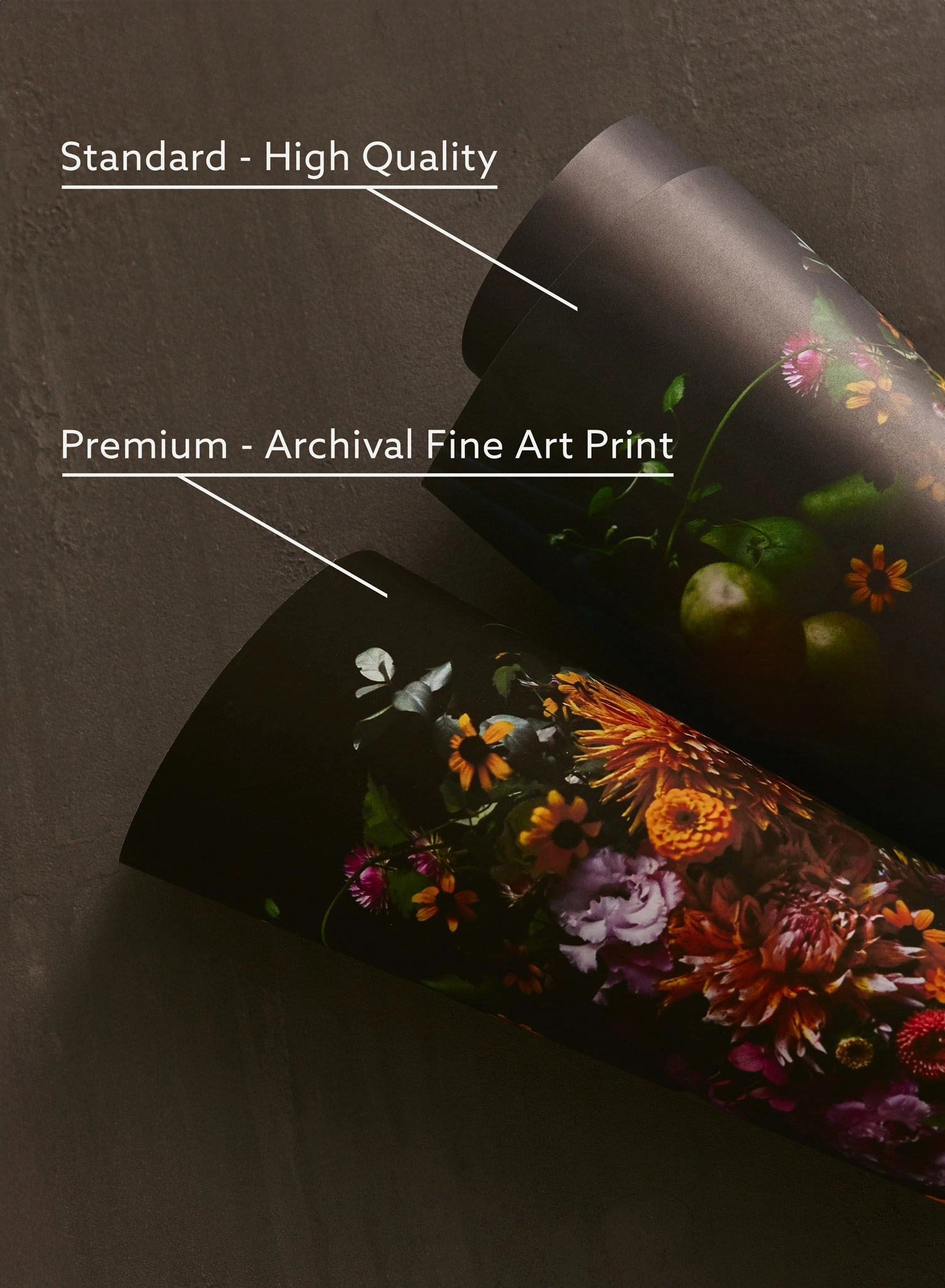 Chiaroscuro Garden, Poster