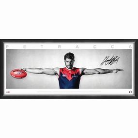 CHRISTIAN PETRACCA SIGNED WINGShandmade souvenirs