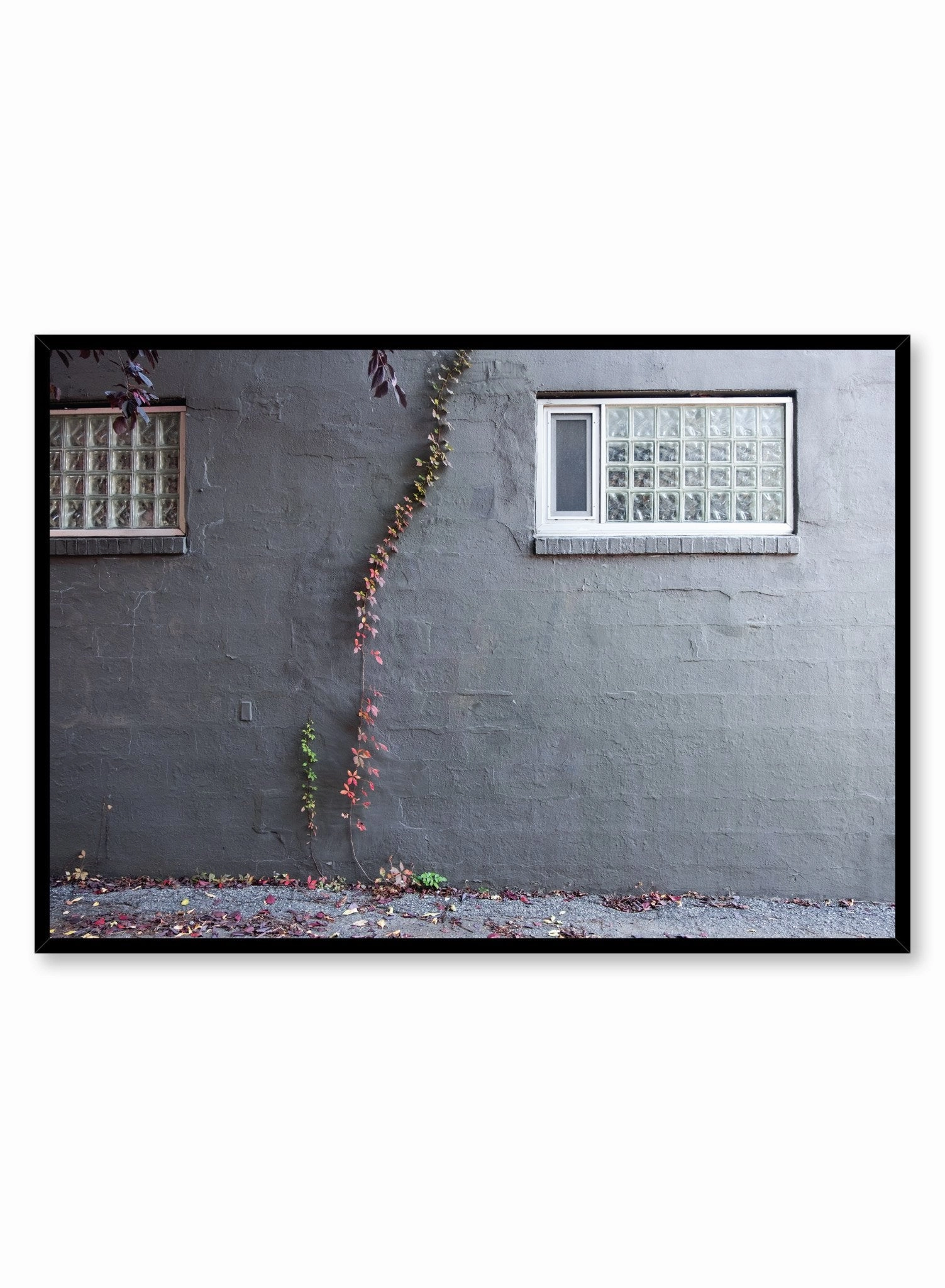 Climbing Flowers, Posterpop culture themed posters