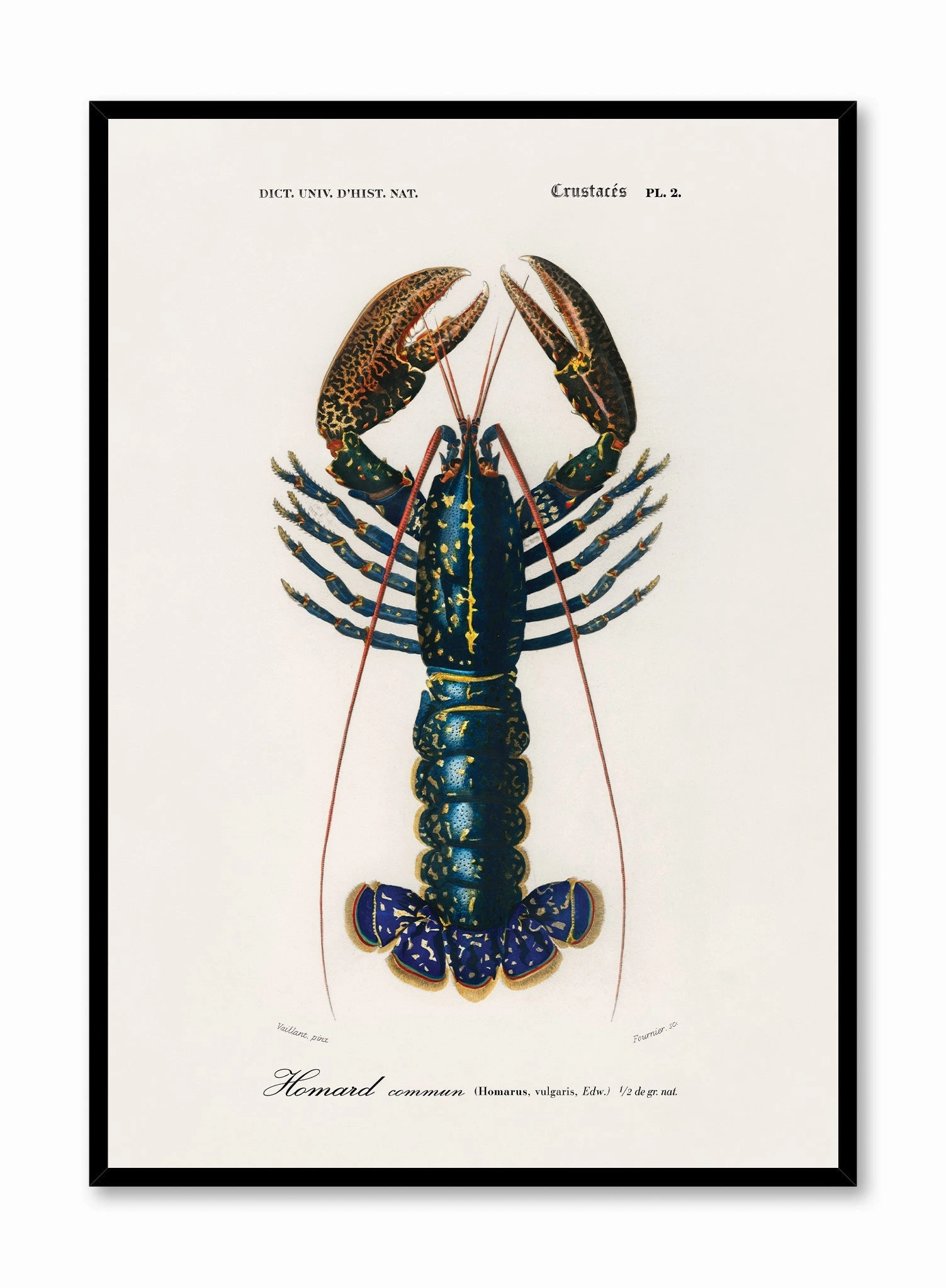Coastal King, Posterpop culture themed posters