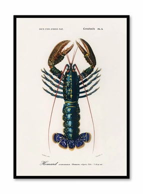 Coastal King, Posterpop culture themed posters