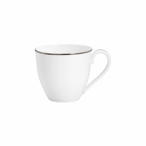 Continental Dining Platinum Teacupglass cups ,personalized mugs 