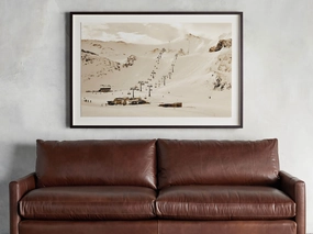 Coronet Peakhome decor ,wall decor 