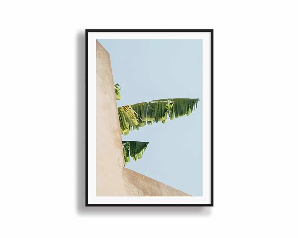 Creeping Palmnordic style wall decor