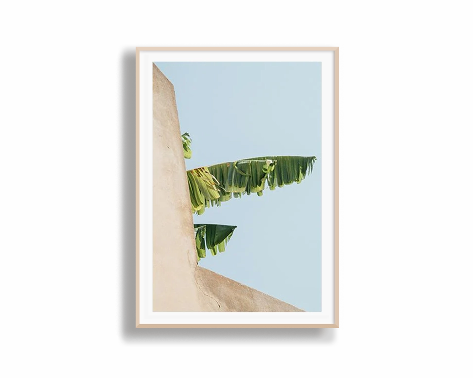 Creeping Palm