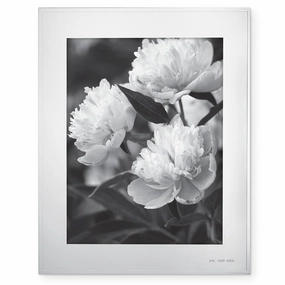 Darling Point 8" x 10" Framevalentine's day decorations ,valentine's centerpiece 