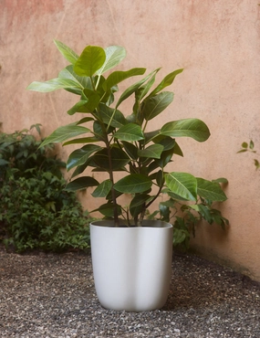Dempsy Planter by Sarah Sherman Samueloutdoor wrought iron plant stand