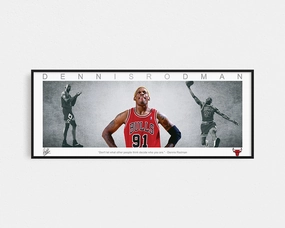 DENNIS RODMAN PANORAMIC COLLAGE PRINT SIGNED FRAMED WINGShandmade souvenirs
