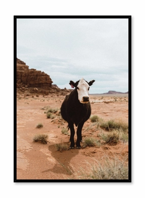 Desert Cattle, Posterpop culture themed posters
