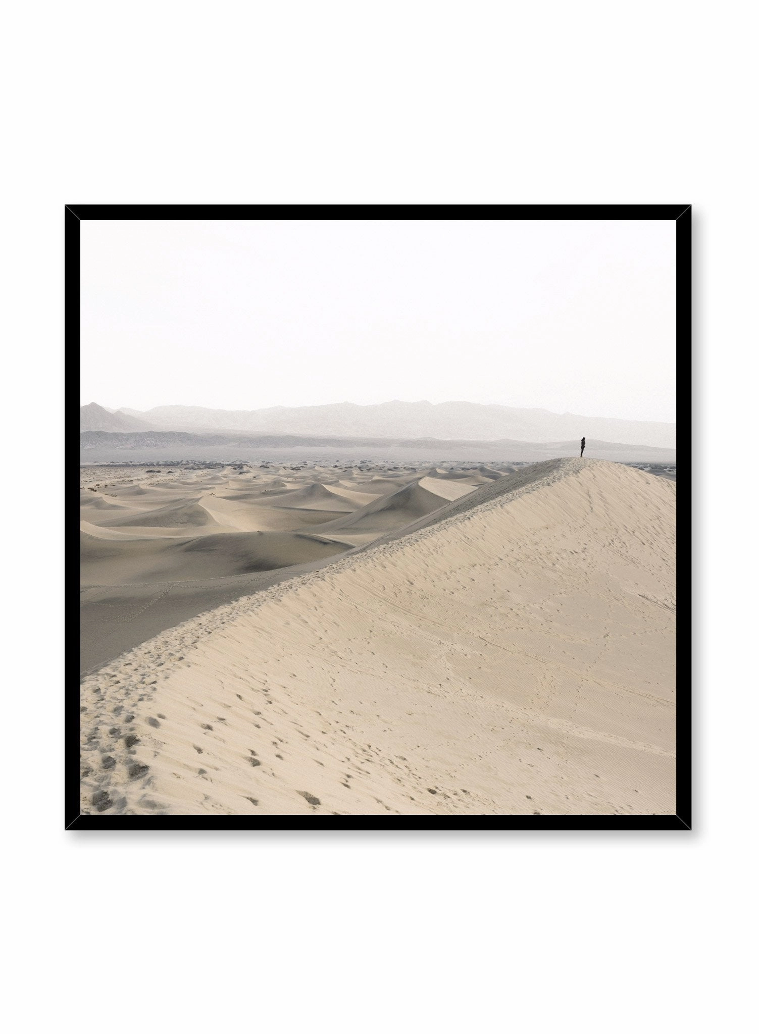 Desert Solitude, Poster