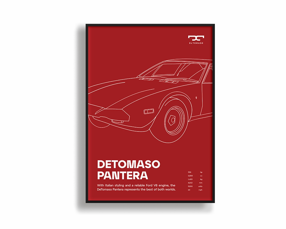 Detomaso Pantera 02nordic style wall decor