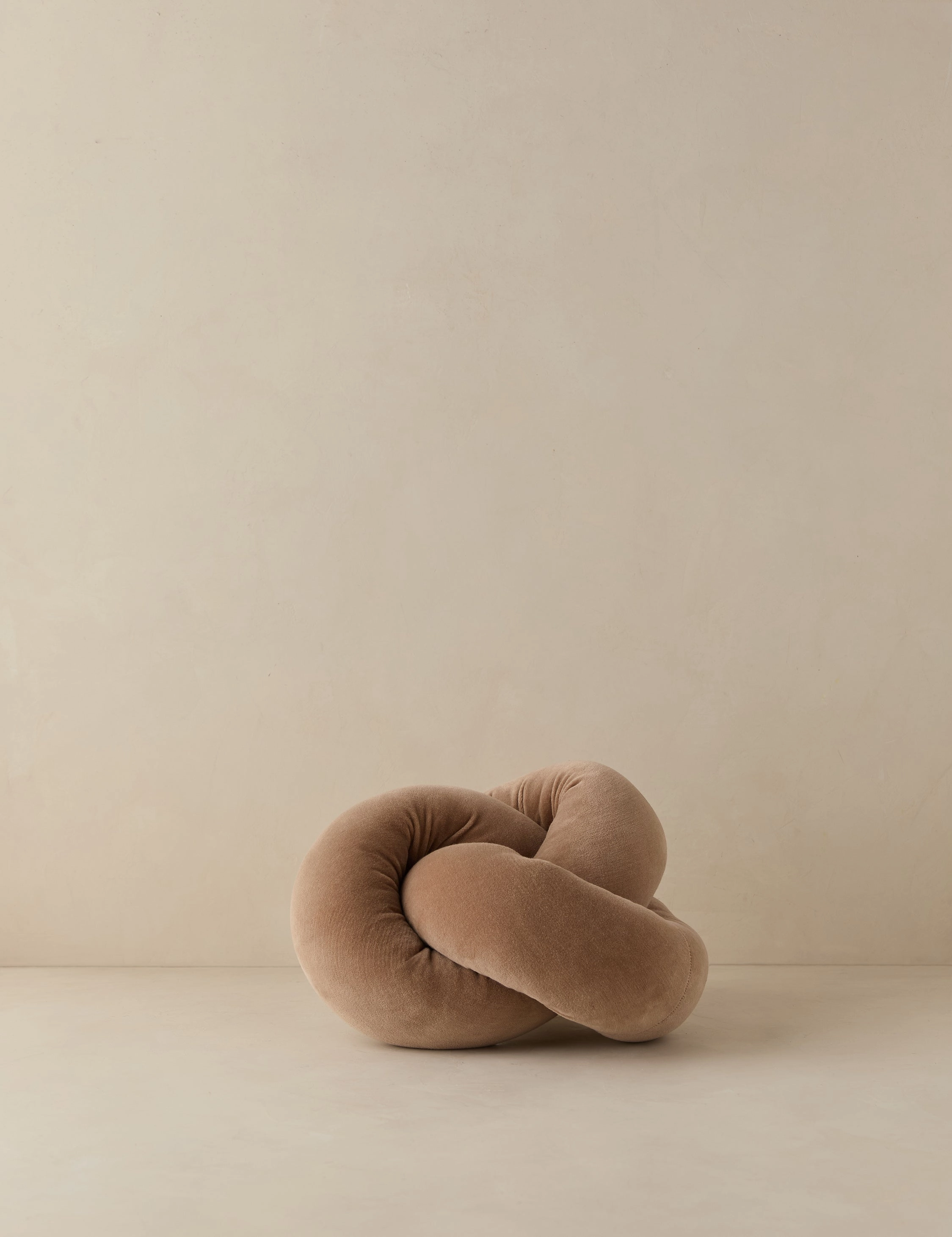 Dewey Velvet Pillow