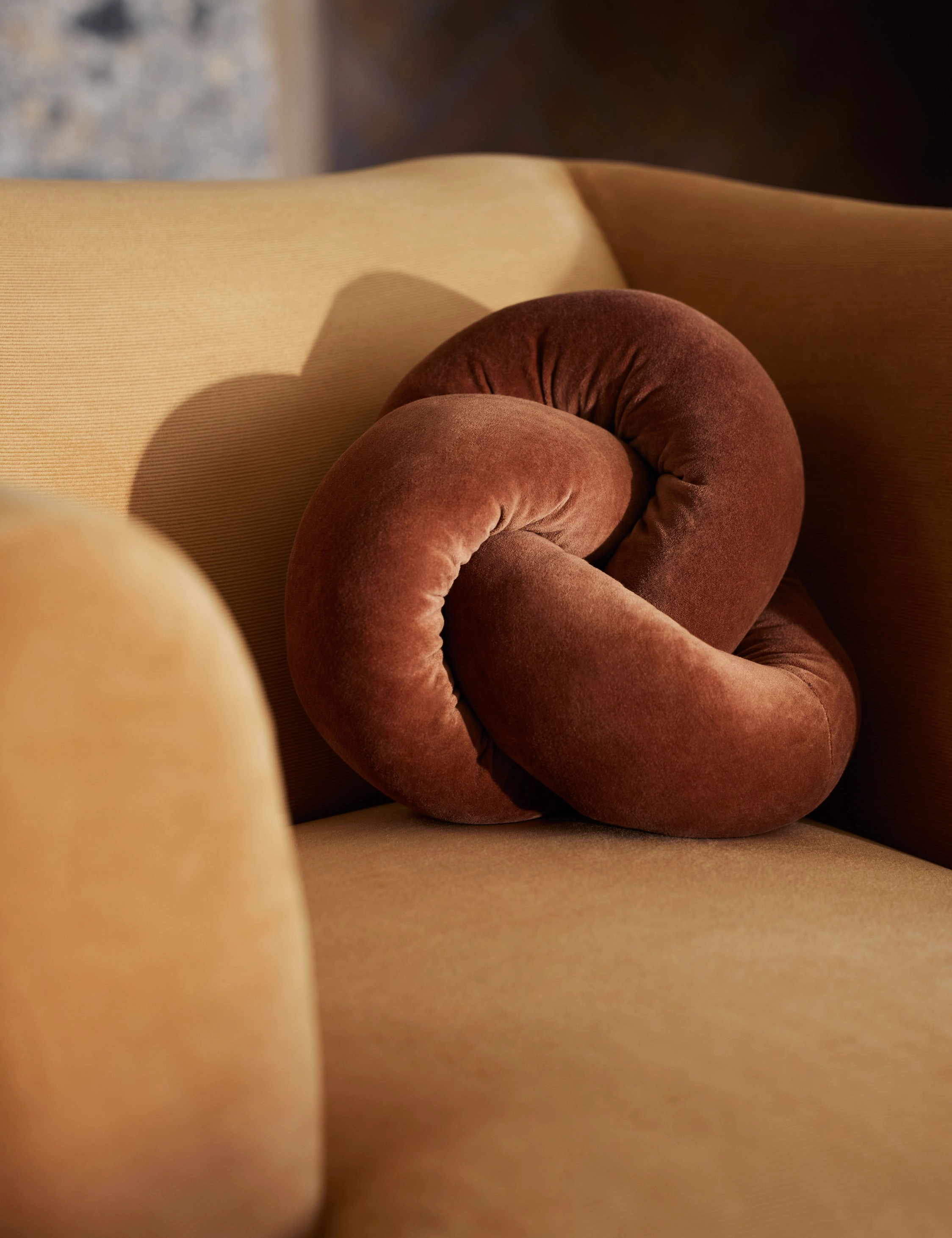 Dewey Velvet Pillow