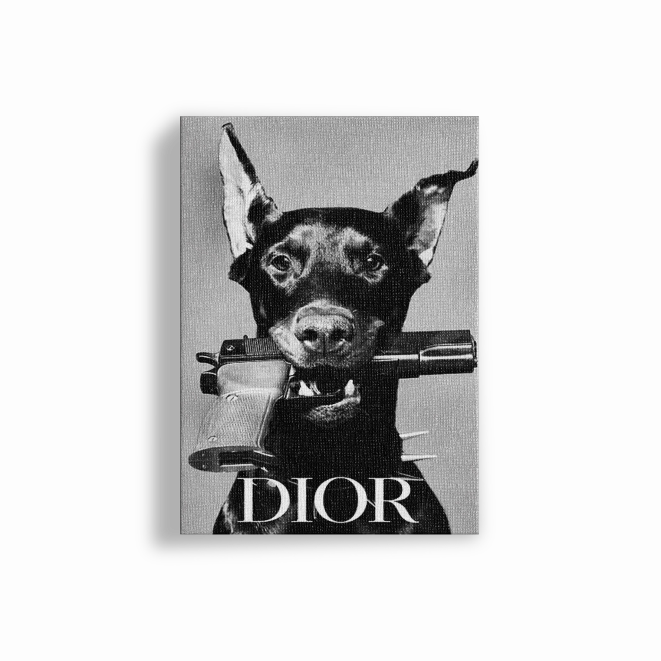 Dior Doberman