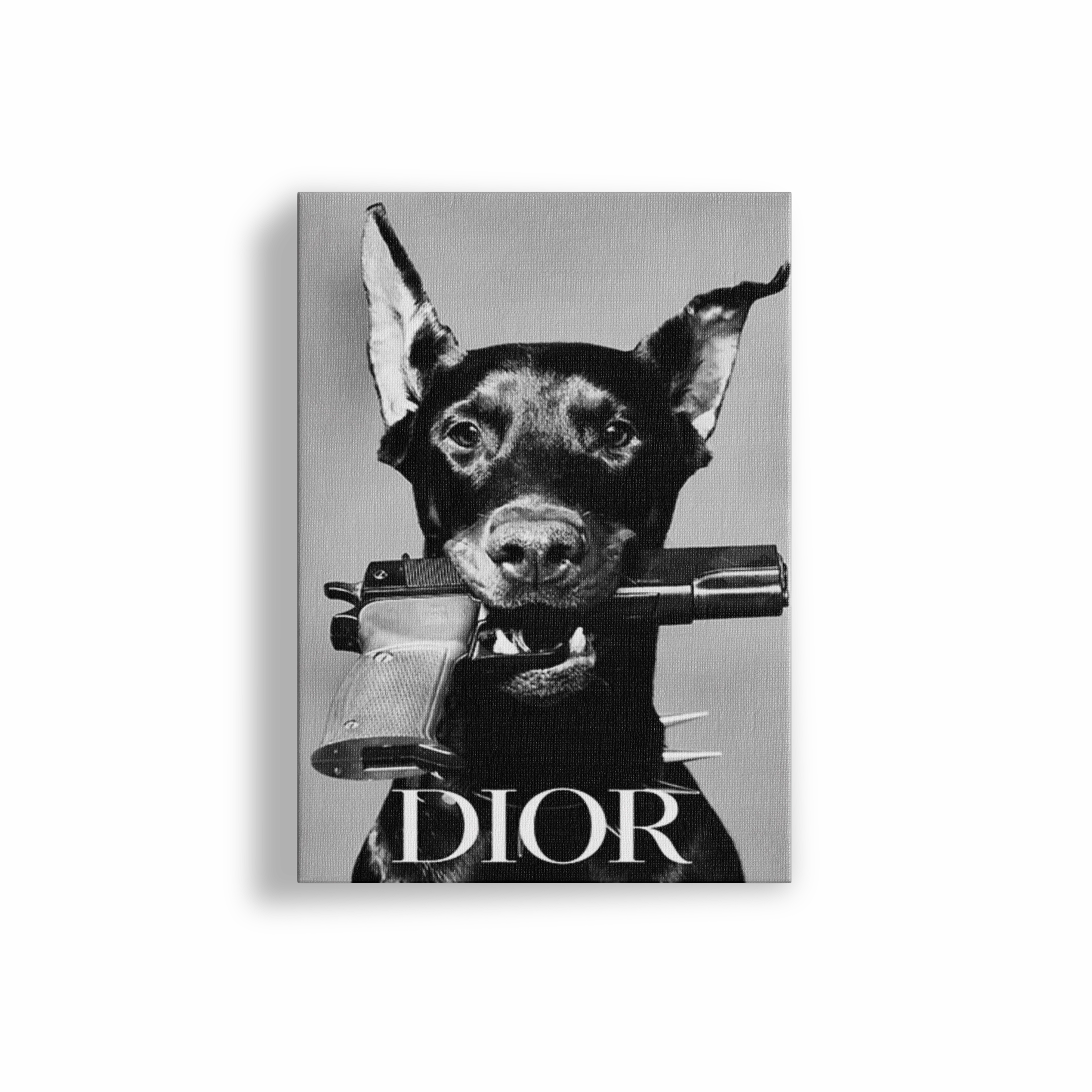 Dior Doberman