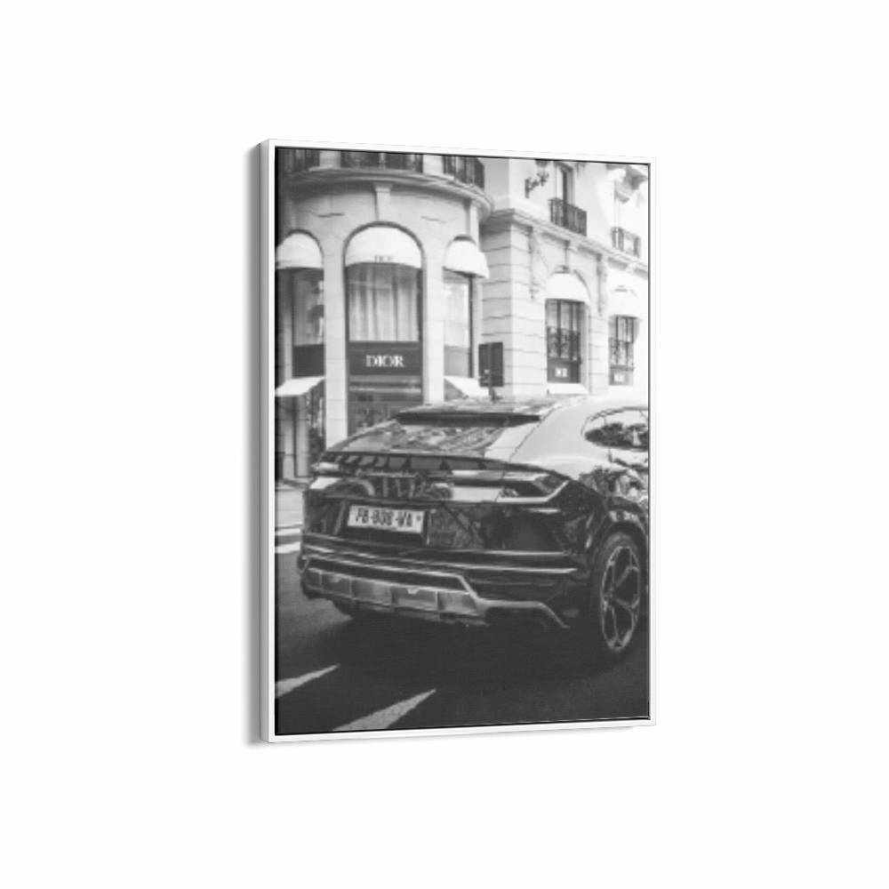 Dior Lamborghini Black & White
