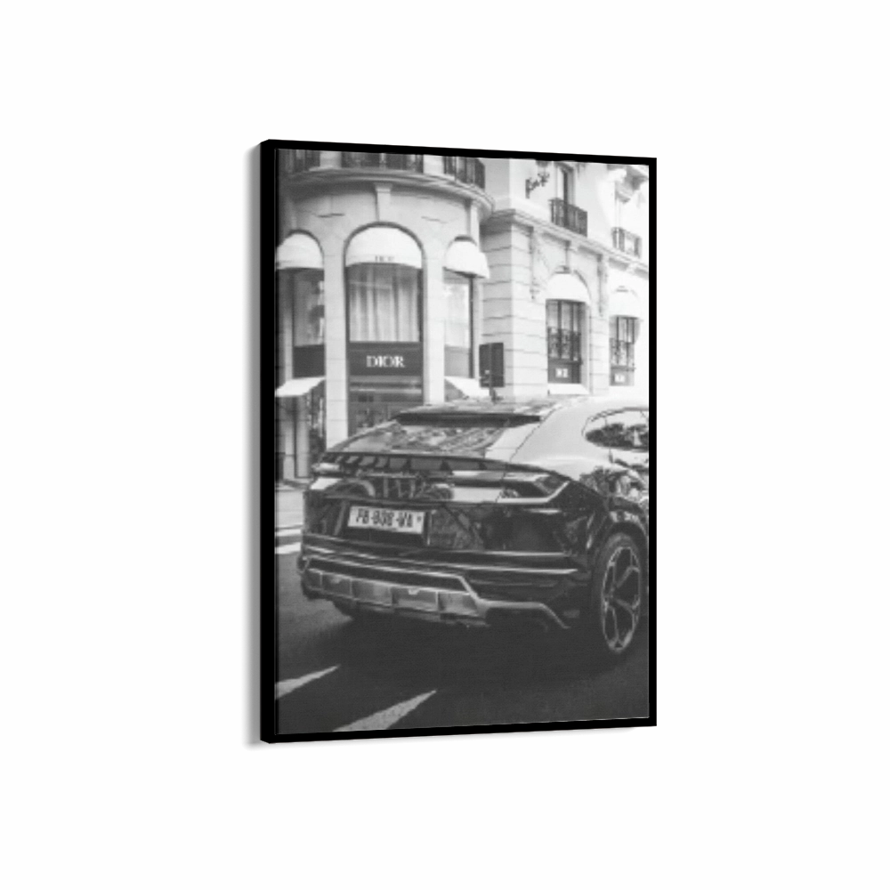 Dior Lamborghini Black & White