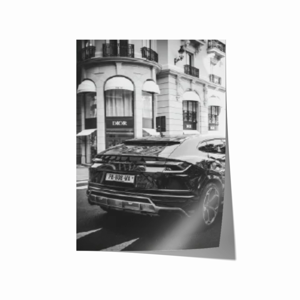 Dior Lamborghini Black & White