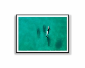 Dolphin Divingmodern abstract painting decor