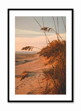 Dune Feathers, Posterpop culture themed posters