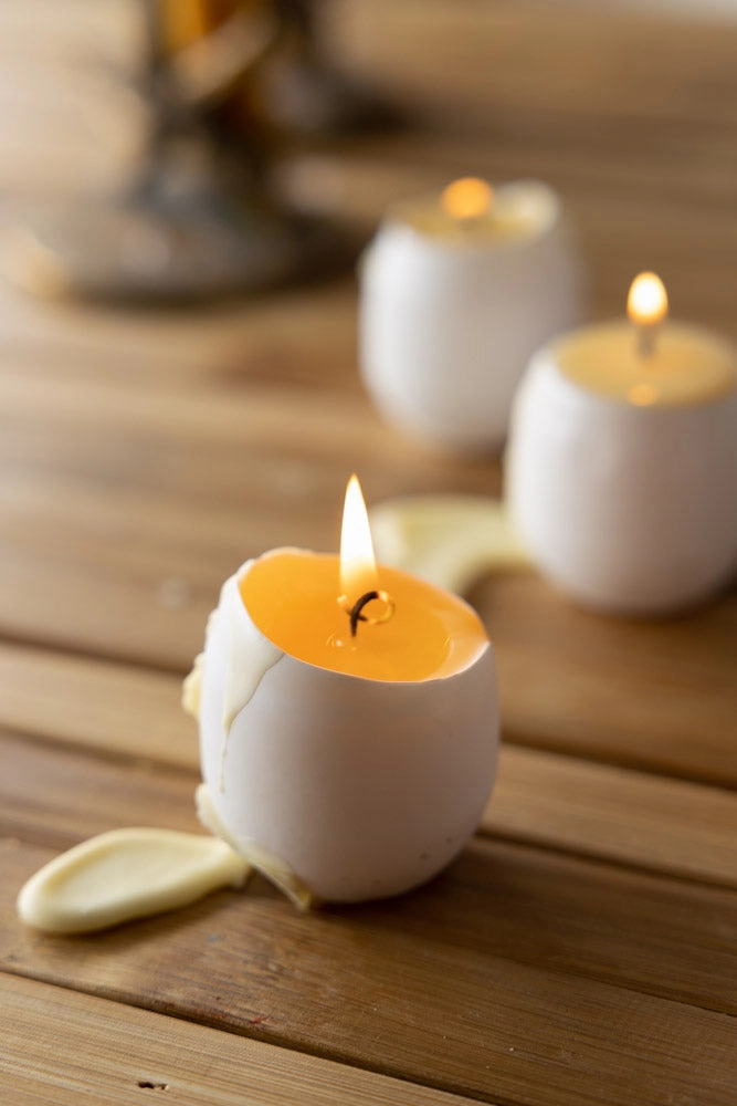Egg Candle