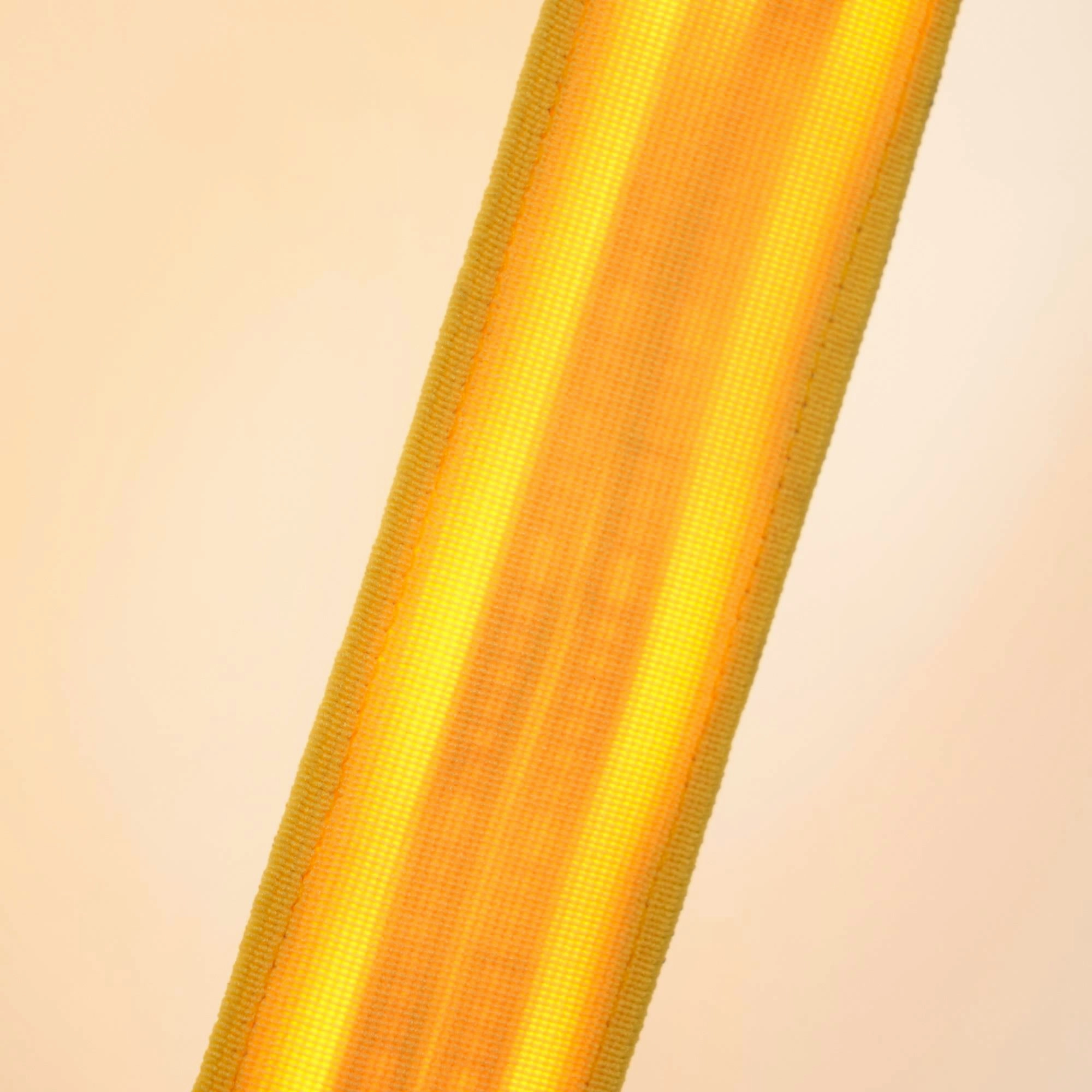 Elastica Arbitrary Floor Lamp