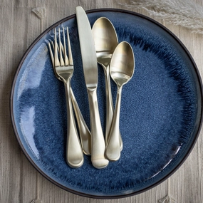 Eloquence Champagne Satin 20 Piece Flatware Seteco-friendly bamboo fiber tableware set 