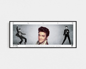 ELVIS PANORAMIC COLLAGE PRINT SIGNED FRAMED WINGShandmade souvenirs