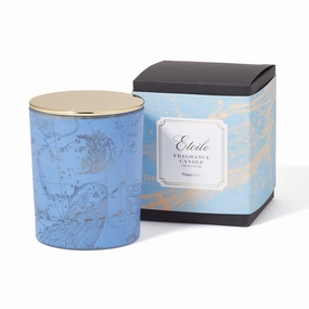 Etoile Fragrance Candle  Light Bluedecorative vase ,Modern Ceramic Vase for Home Decoration 