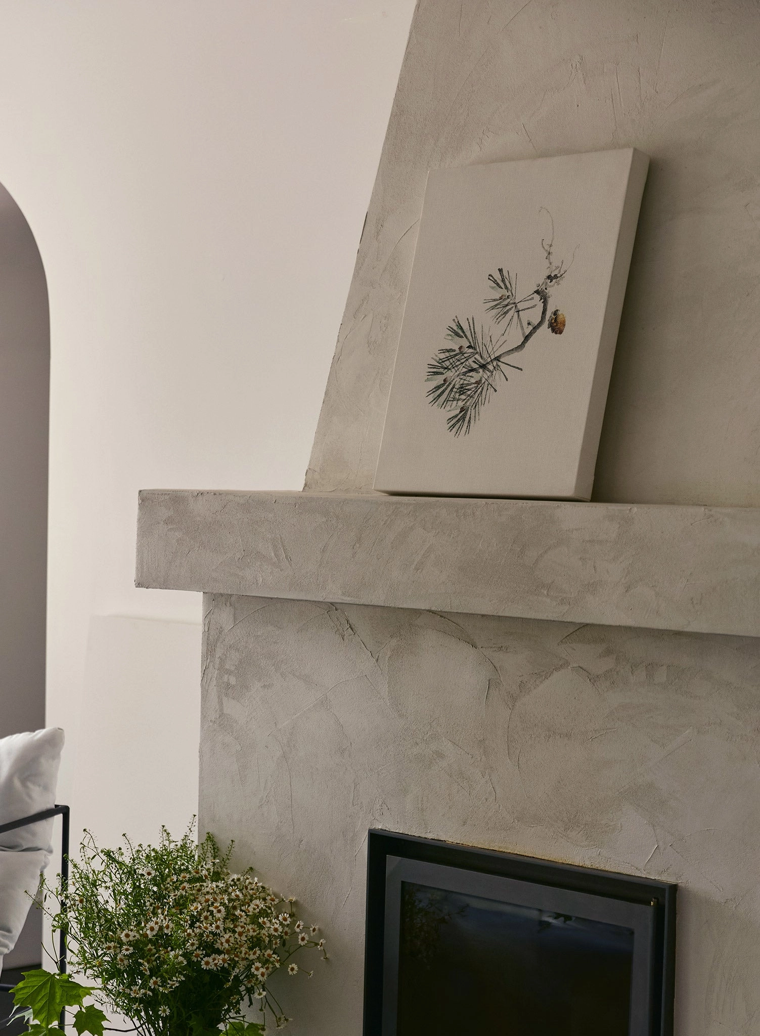 Evergreen Splendor, Canvas