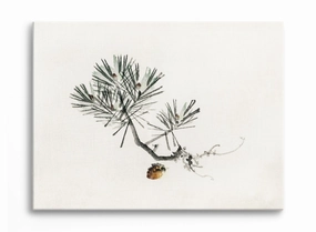 Evergreen Splendor, Canvasindoor decorative canvas print