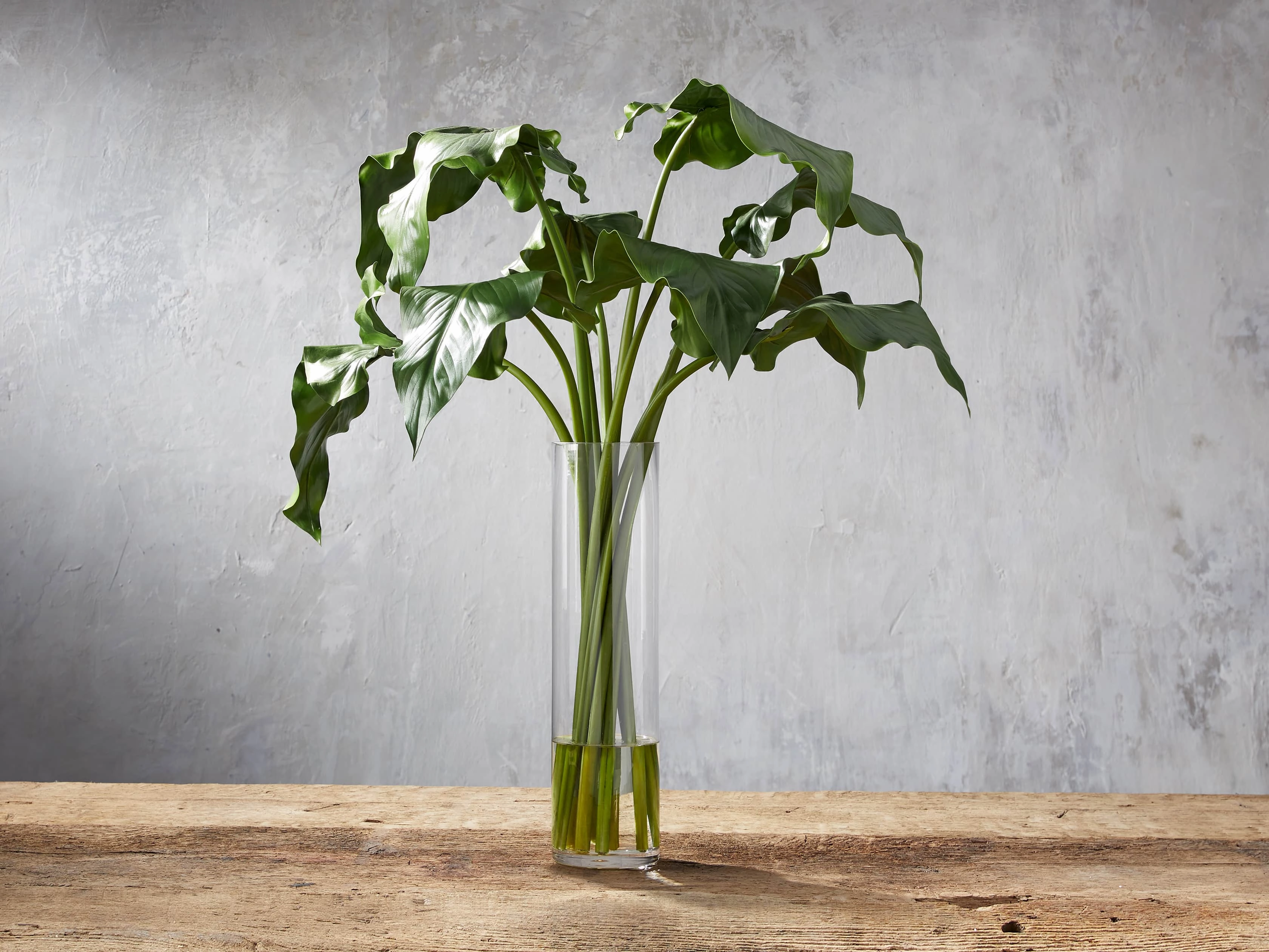 Faux Calla Leaf in Large Vasehome decor ,wall decor 