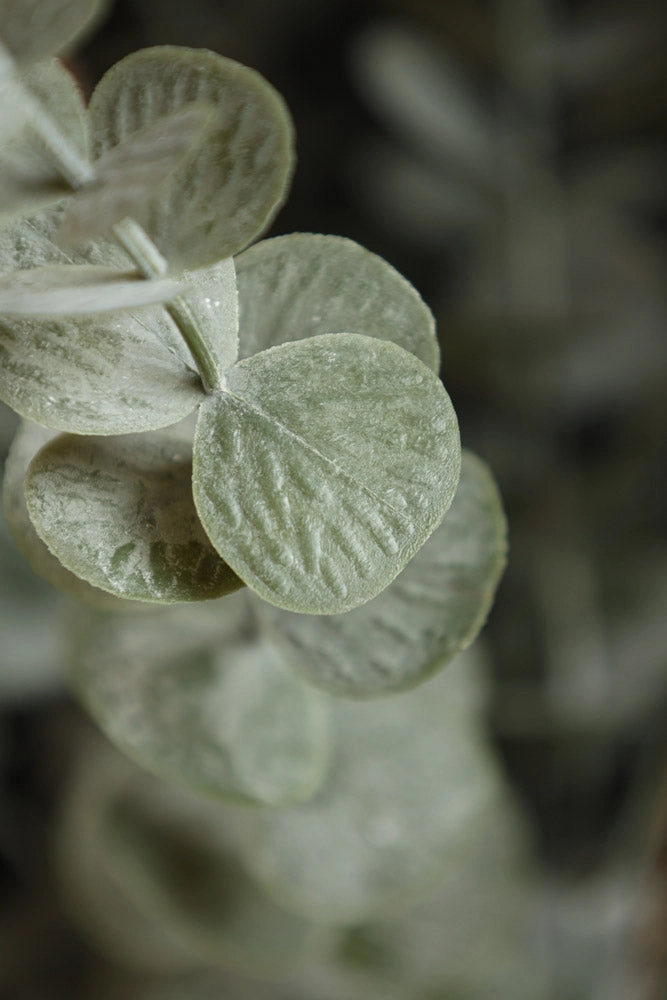 Faux Eucalyptus Plant In Pot
