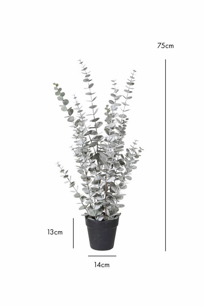 Faux Eucalyptus Plant In Pot