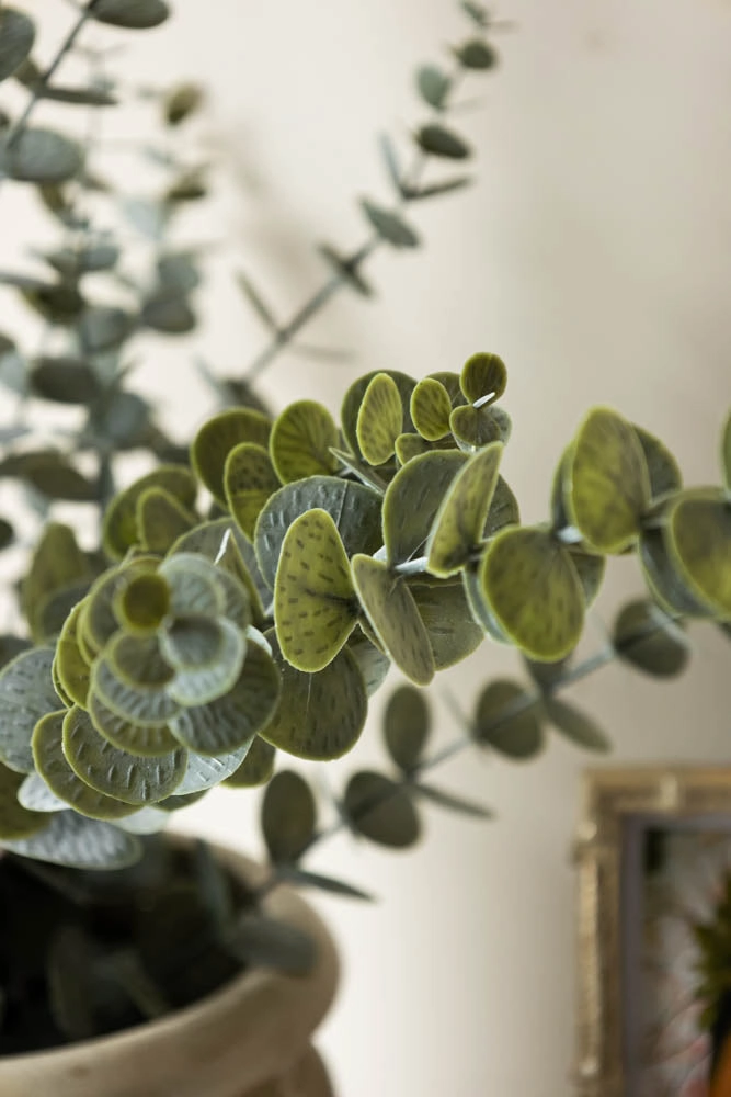 Faux Eucalyptus Plant In Pot